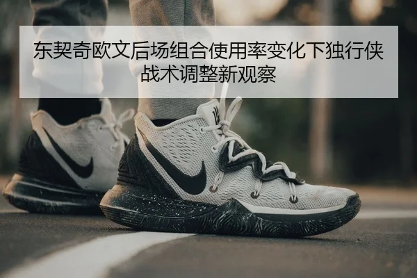 东契奇欧文后场组合使用率变化下独行侠战术调整新观察